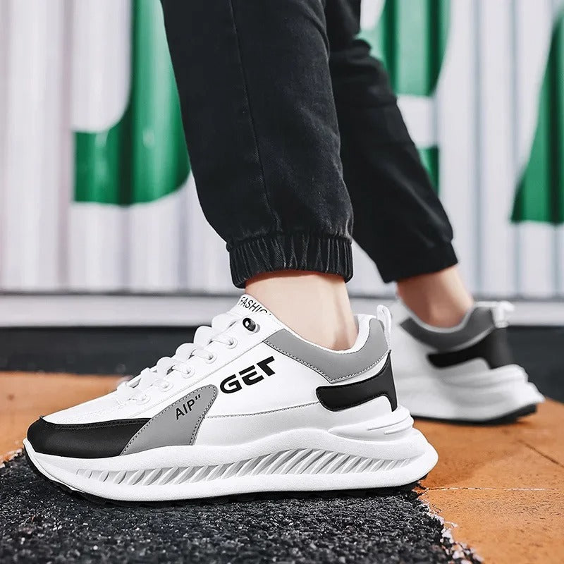 gid://shopify/MediaImage/24532725137502