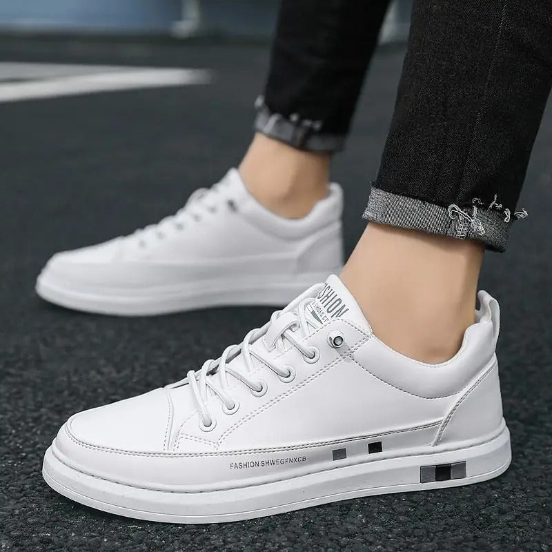 gid://shopify/MediaImage/24532698955870