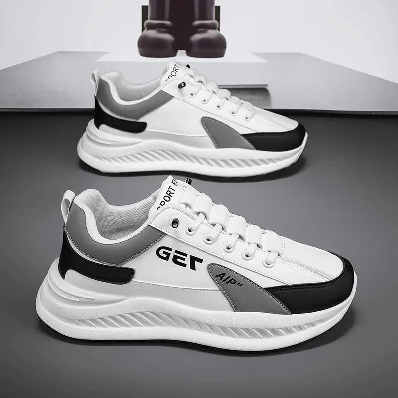 gid://shopify/MediaImage/24532725301342